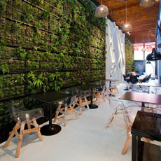绿色咖啡屋