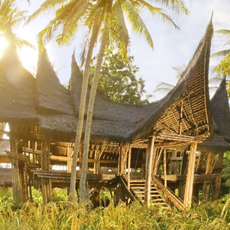 Bali resort green village